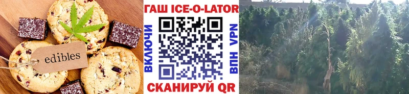 Cannafood конопля  купить  сайты  Гусиноозёрск 