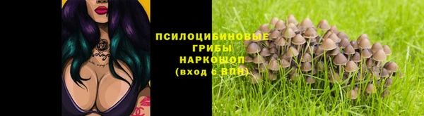 PSILOCYBIN Абдулино