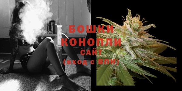PSILOCYBIN Абдулино