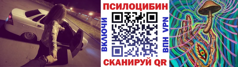 Псилоцибиновые грибы MAGIC MUSHROOMS  где купить наркотик  Гусиноозёрск 